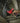 M12 CHZ-0 FUEL™ HACKZALL™ | Reciprocating Saw