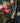 M12™ FHS-0 FUEL™ HATCHET™ | Pruning Saw