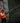 M18™ FOPH-HTA QUIK-LOK™ | Outdoor Power Head Hedge Trimmer